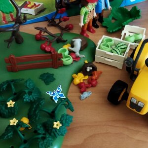 Playmobil Country Starter Set Συλλογή Φρούτων για 4-10 ετών