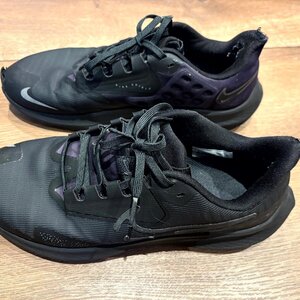 Nike Air Zoom Pegasus 39 Shield DO7625-001 Ανδρικά Αθλητικά Παπούτσια Running Μαύρα