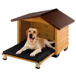 Dog House & Beds