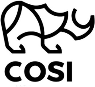 Cosi Jeans