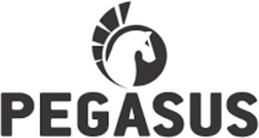 Pegasus