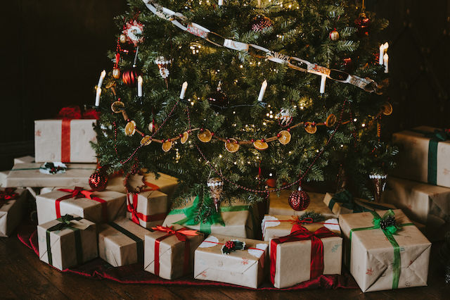 Τα ωραιότερα χριστουγεννιάτικα δέντρα για τον χώρο σου