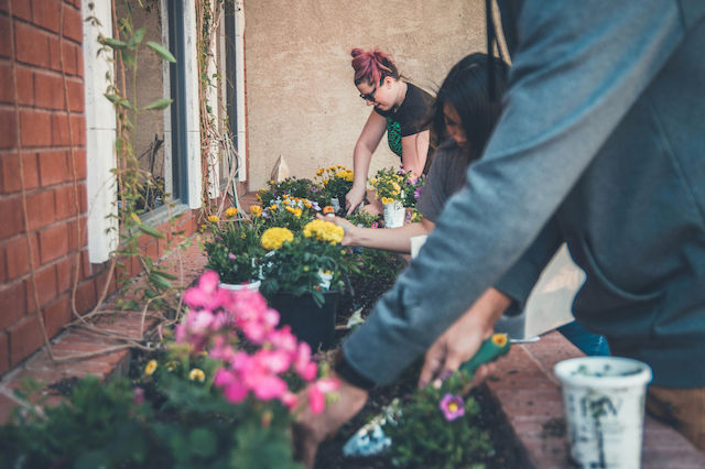 National Gardening Day: tips για να γίνεις επιτυχημένος κηπουρός