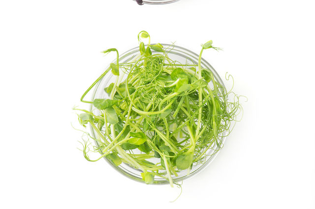 Τι είναι τα microgreens & πώς μπορείς να φτιάξεις έναν... μικρό κηπο στην κουζίνα σου;