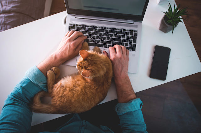 Cum setezi laptop lucru remote: Ghid dupa achizitie