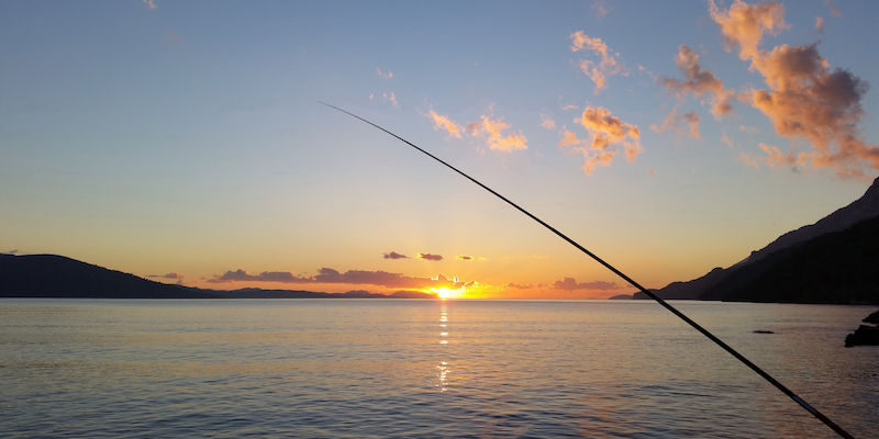 Buying Guide for Fishing Rods