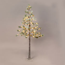 Christmas Decorative Trees
