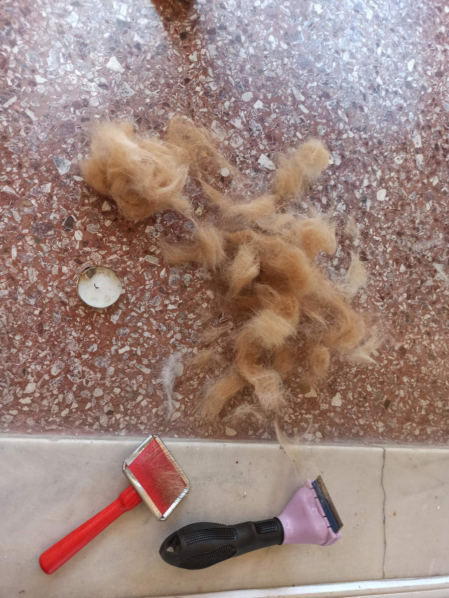 FURminator Βούρτσα Γάτας