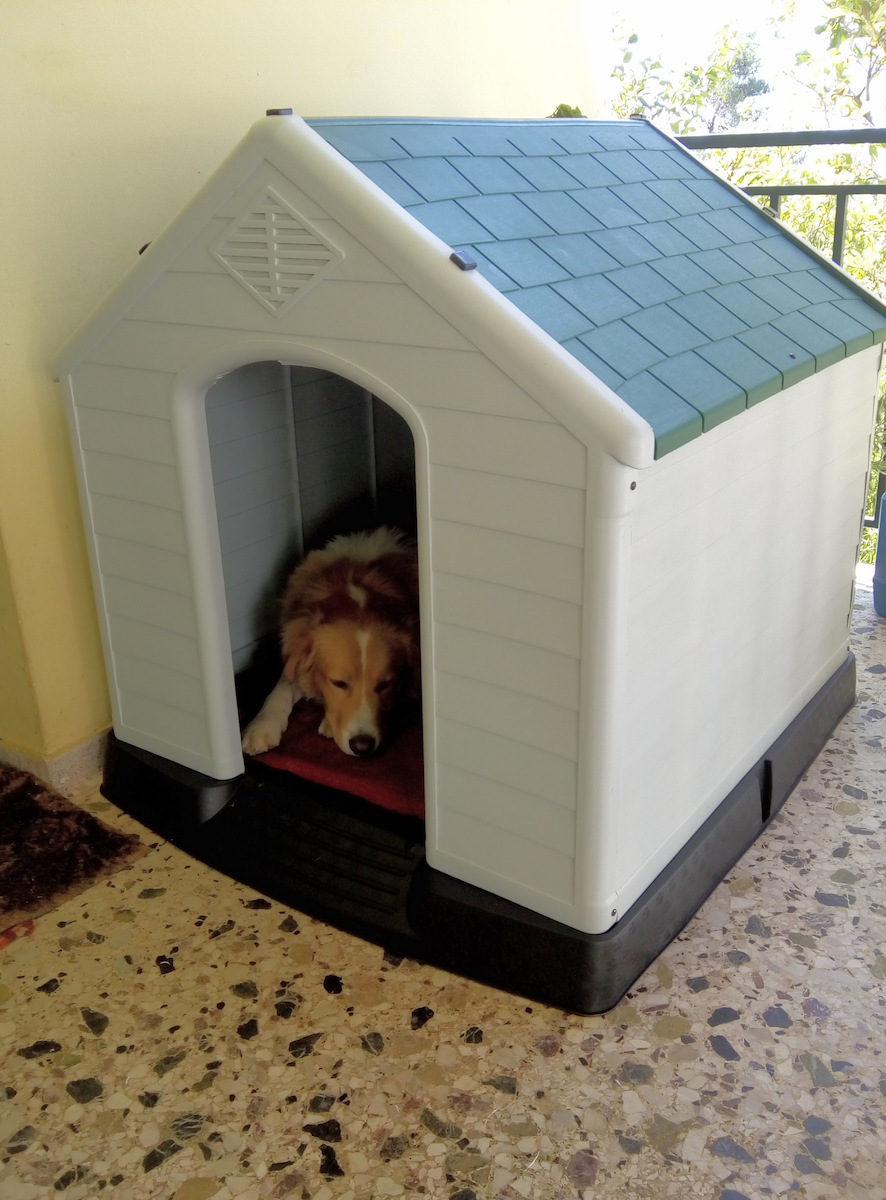 Vesta XXLarge Hundehaus Groß Kunststoff Außenbereich Weiß 123x110x114cm