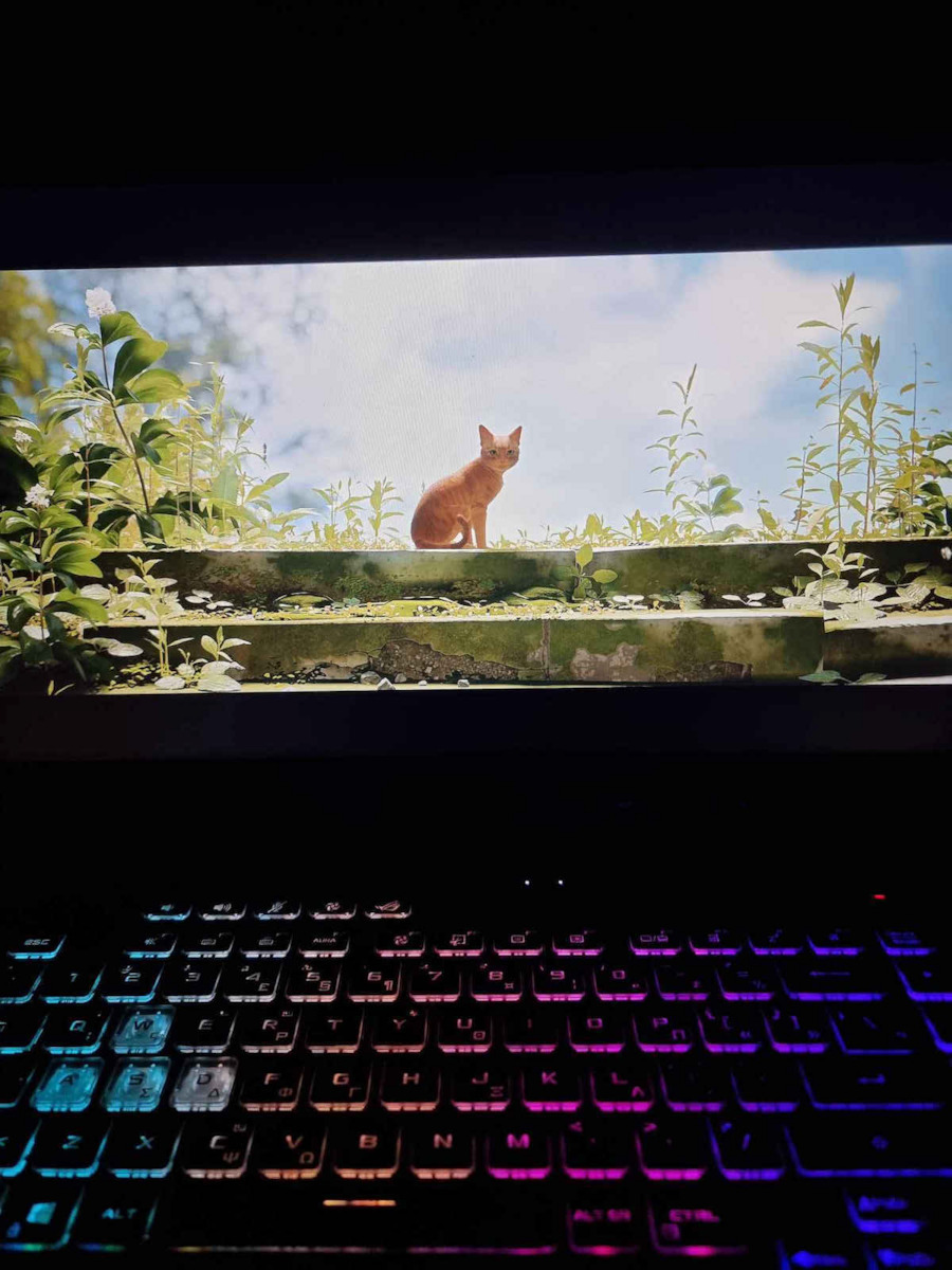 ROG Strix G15 G513QM-HN064T 15.6" FHD 144Hz (Ryzen 7-5800H/16GB/512GB SSD/GeForce RTX 3060/W10 Home) (GR Keyboard)