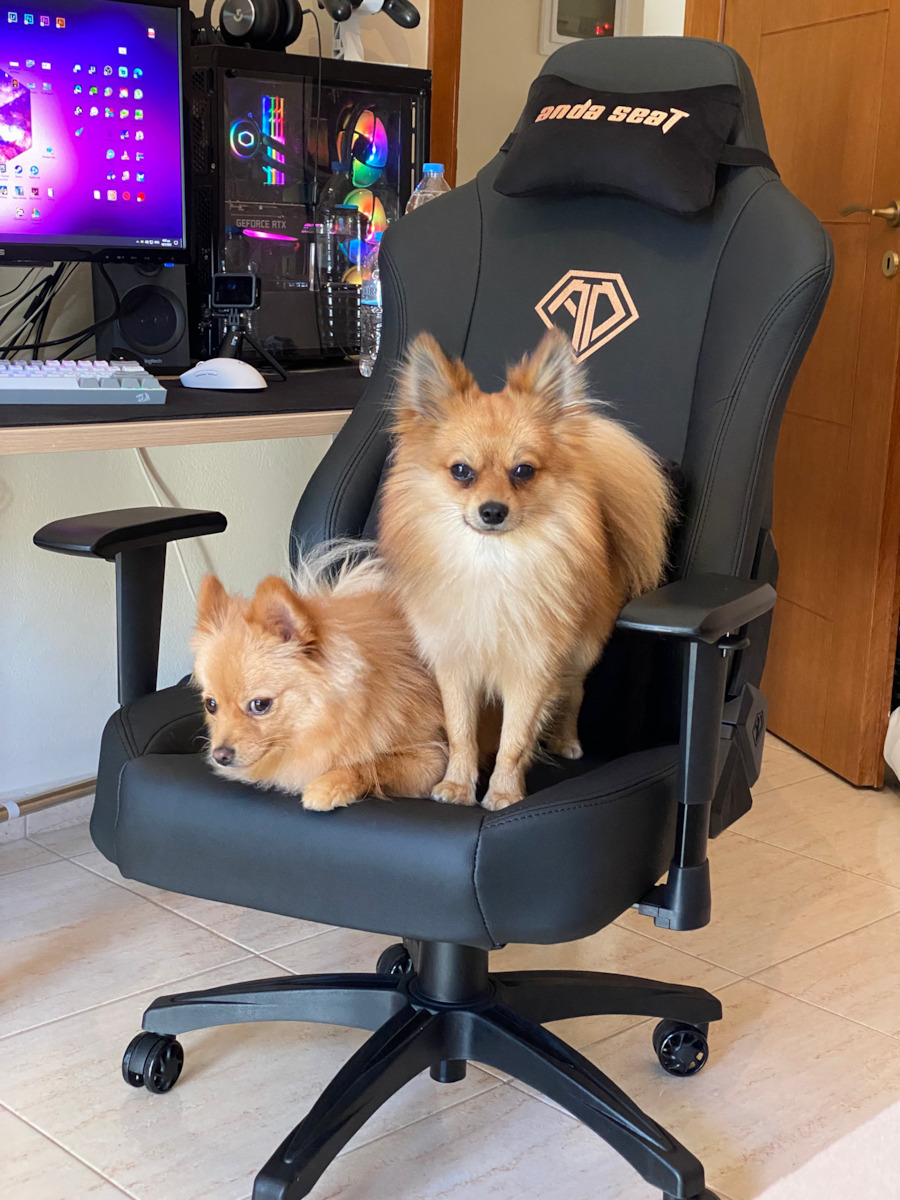 Anda Seat Phantom 3 Υφασμάτινη Καρέκλα Gaming με Ρυθμιζόμενα Μπράτσα Γκρι