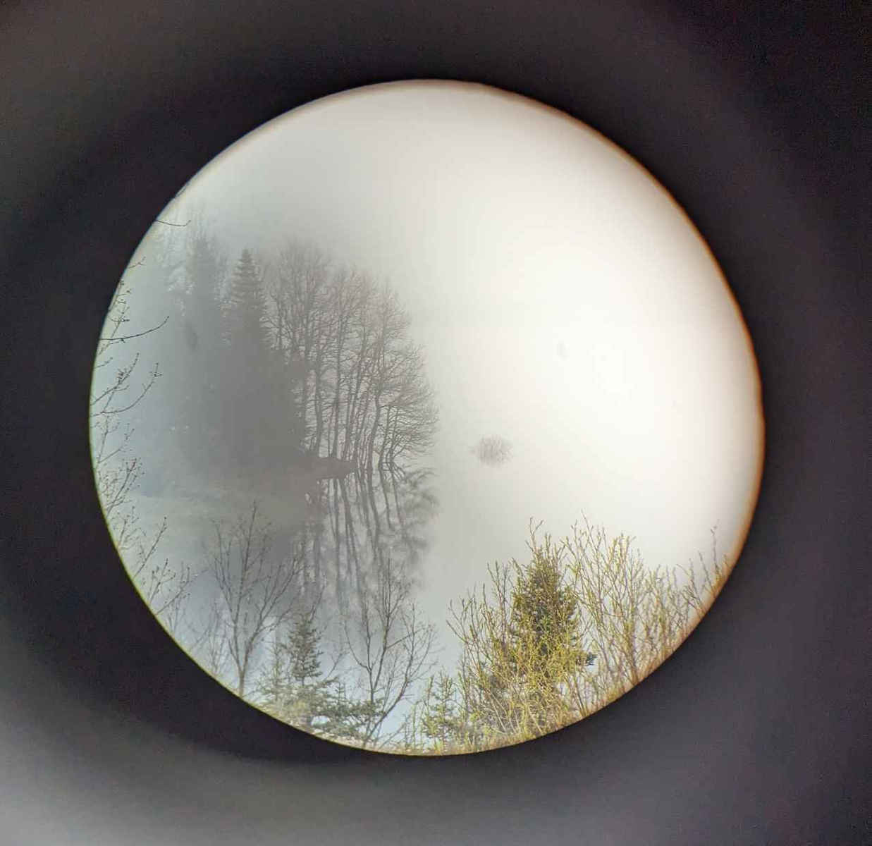 Apexel Observation Binocular