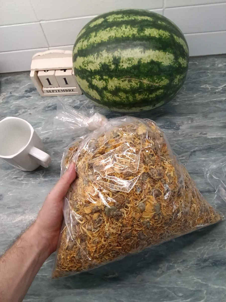 Καλέντουλα 500 Γρ