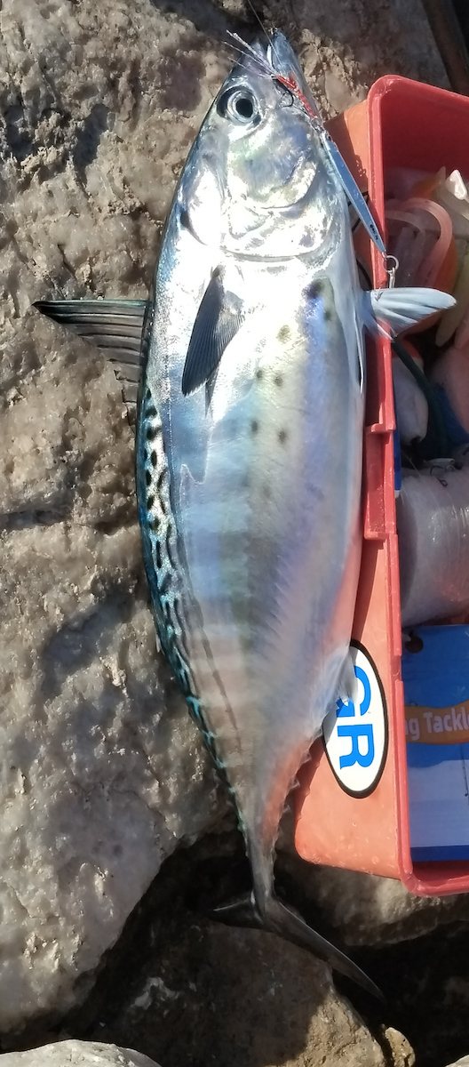 Golden Catch Τεχνητό Δόλωμα 10gr