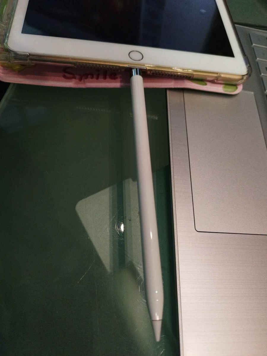 Apple Pencil (1st Generation) + USB-C to Apple Pencil Adapter Digital Touch Stylus with Palm Rejection for iPad in White color MQLY3ZM/A