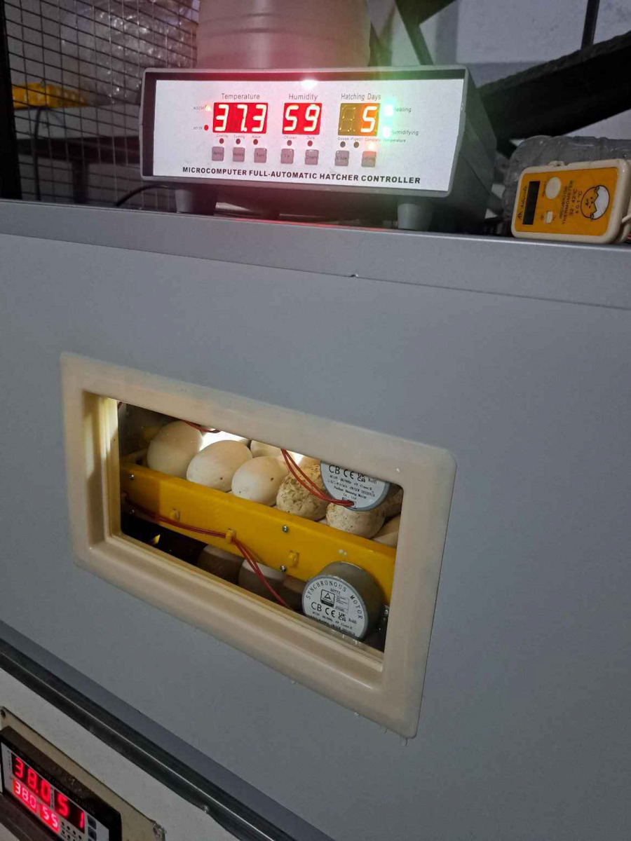 Αυτόματη Εκκολαπτική Μηχανή 180 αυγών