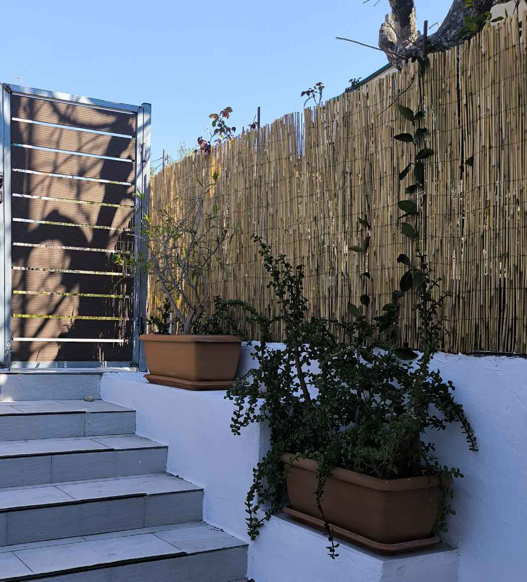 ArteLibre Bamboo Fencing with Whole Reed 1x5m