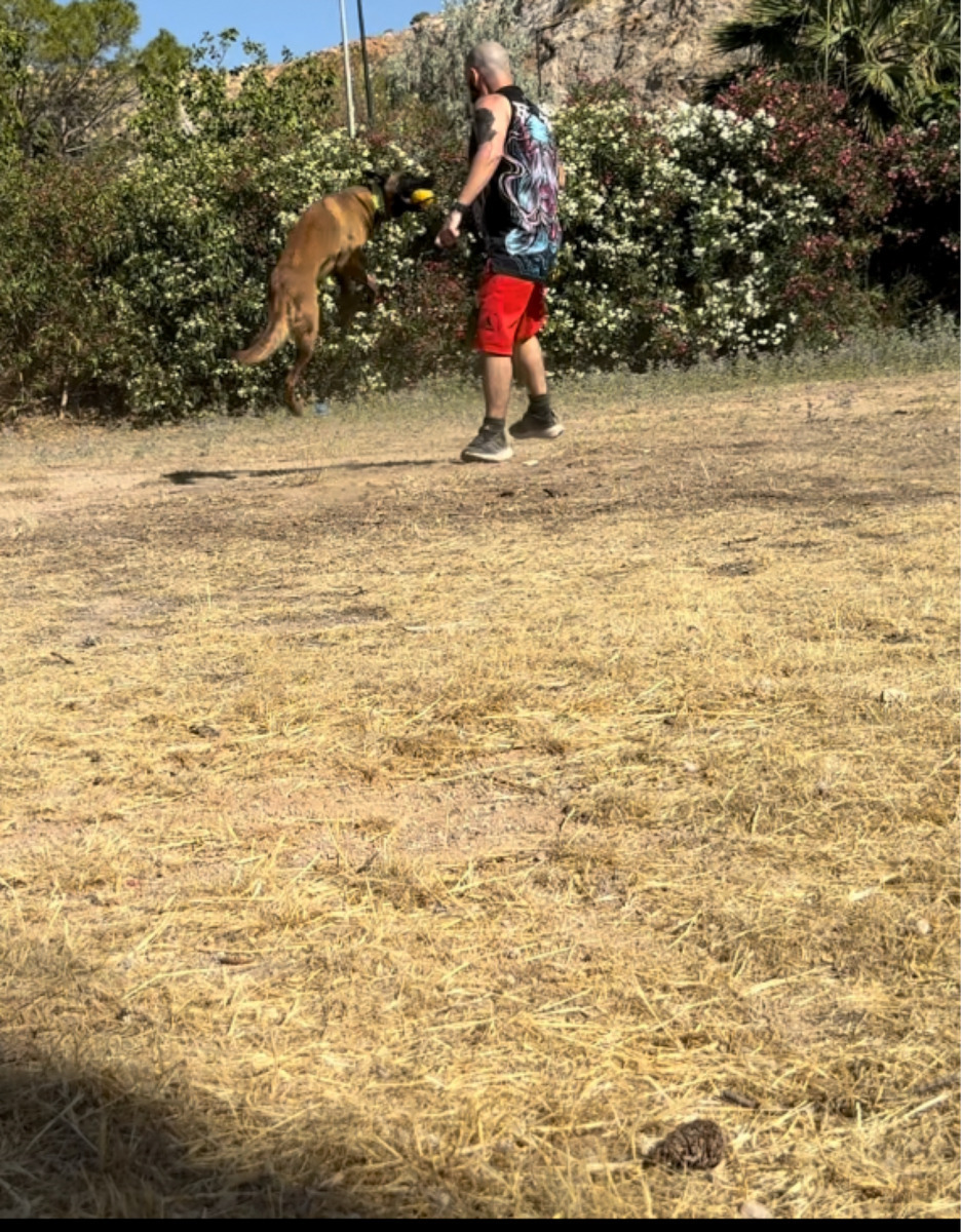 Gappay Durafoam Swing & Fling Ballspielzeug Hund Groß 9εκ. Gelb 1Stück