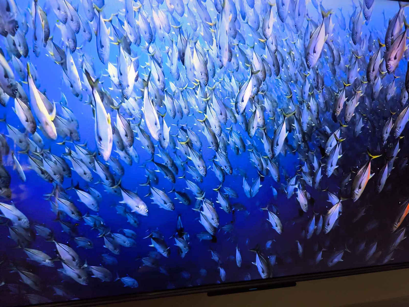 Metz Smart Τηλεόραση 65" 4K UHD QLED 65MQE8000 HDR (2024)
