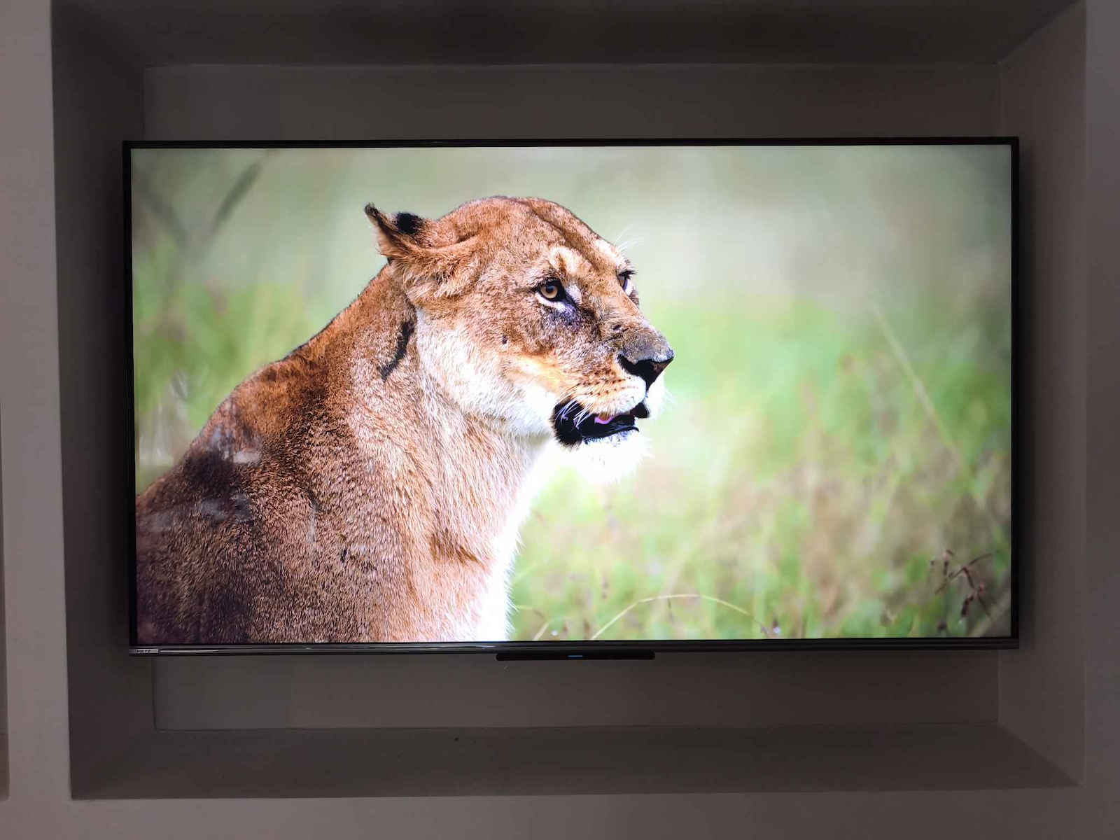 Metz Smart Τηλεόραση 65" 4K UHD QLED 65MQE8000 HDR (2024)
