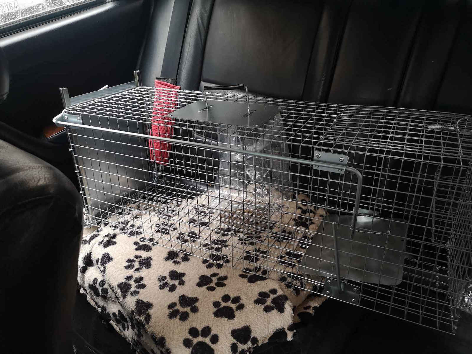 Cage made of Metal 80x31x31cm TRAP-04E 1pcs