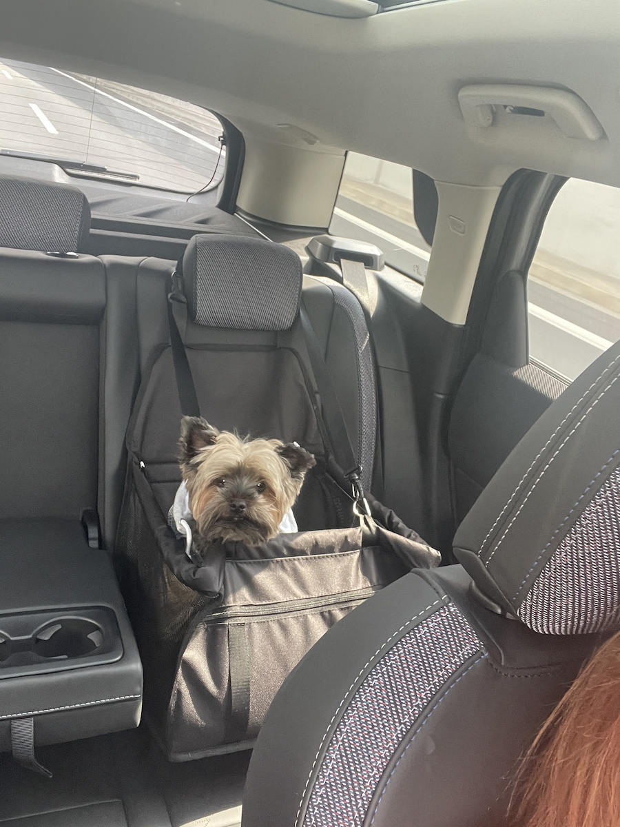 Purlov Waterproof Seat Car for Dog Black