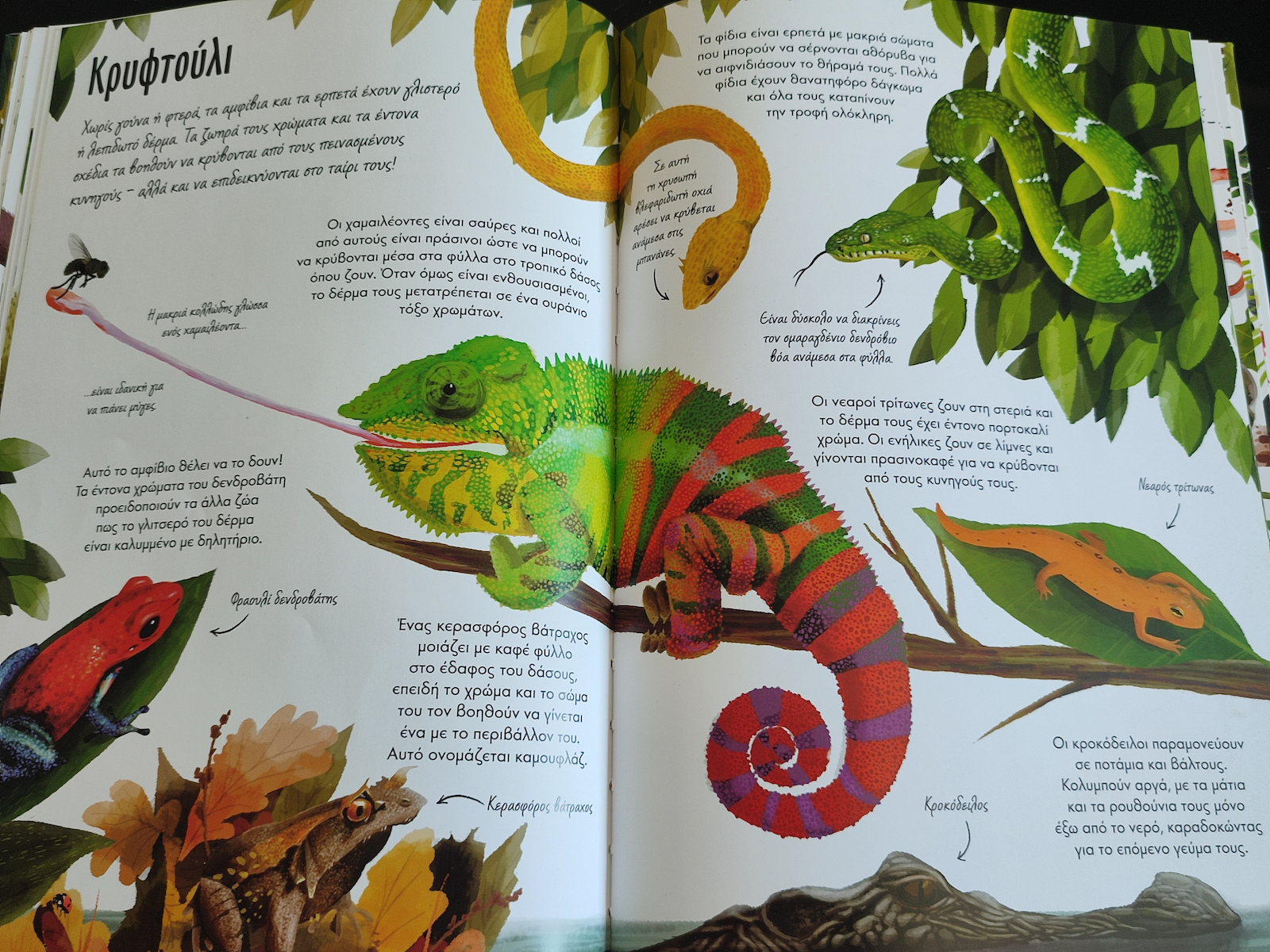 Das große Buch der Natur