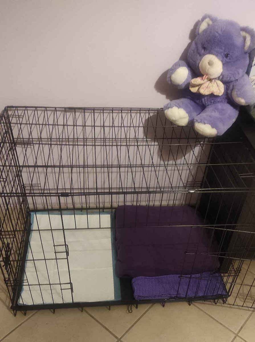 Pupcorn Dog Wire Cage Large with 2 Doors Black 91x57x63.5cm