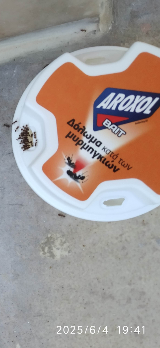 Aroxol Capcana pentru Furnicile 2gr 2buc
