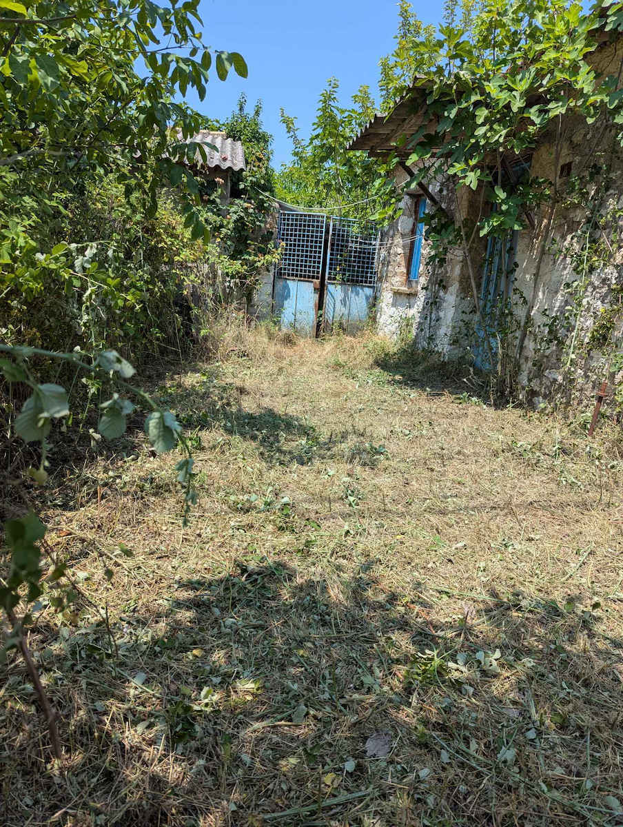 Echo Benzină în doi timpi Tăietor de iarbă De umăr / de mână