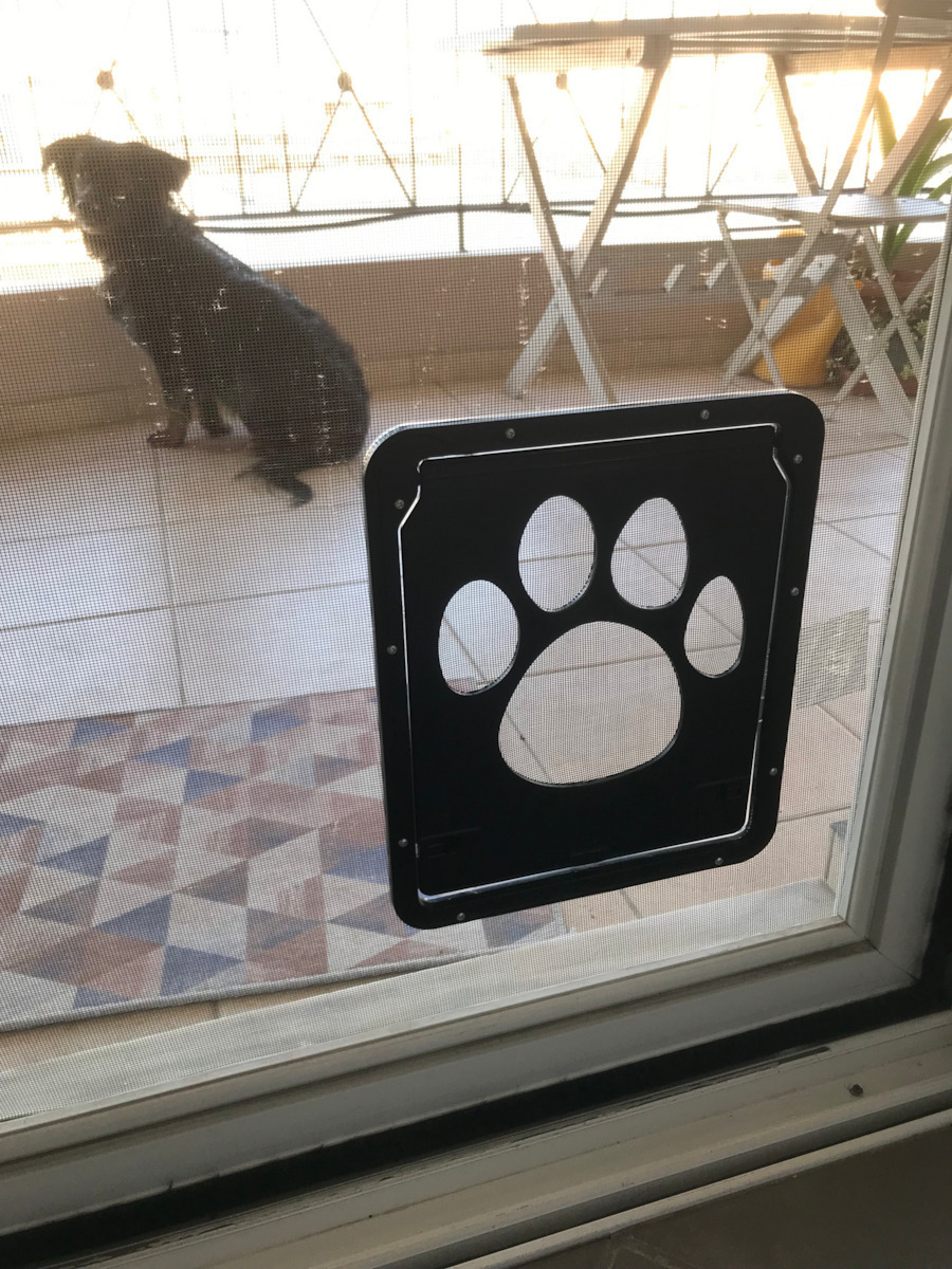 Door Dog & Cat made of Plastic in Gray Color 29 x 29 x 29cm
