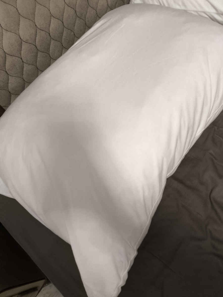 La Luna Tencel Schutzkissenbezug-Set Wasserdicht Weiß 50x70cm.