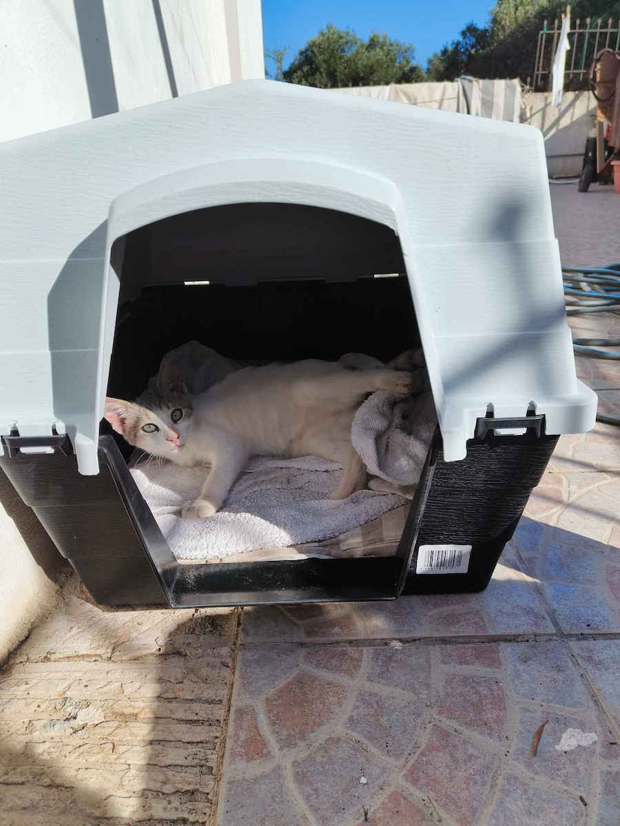 Vesta Dog House Plastic Outdoor Black 40x69.5x44cm