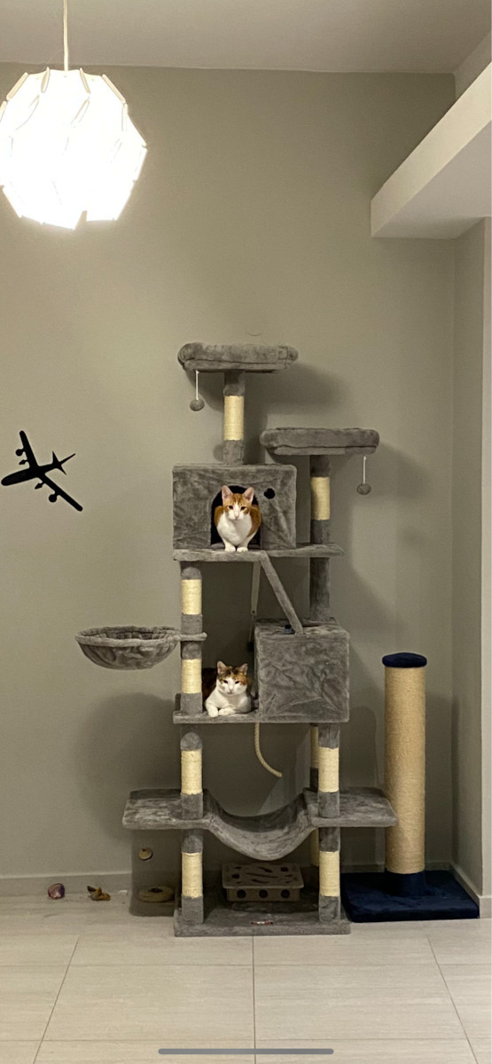 Feandrea Scratching Post Cat Trees Gray 5 levels 55x45x143cm