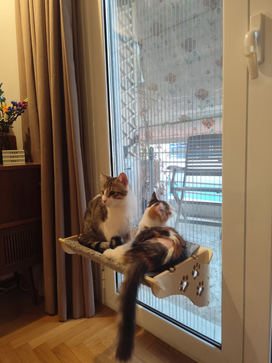 Femmit Wooden Cat Hammock Bed with Strong Suction Cups 45x30x20 cm Gray