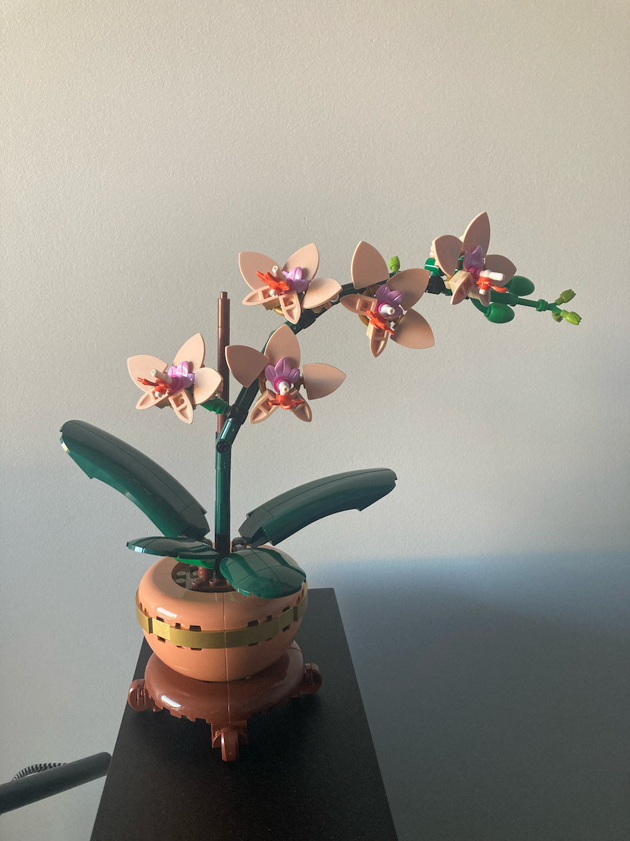 LEGO Botanical Collection Mini Orchid για 18+ Ετών 274τμχ