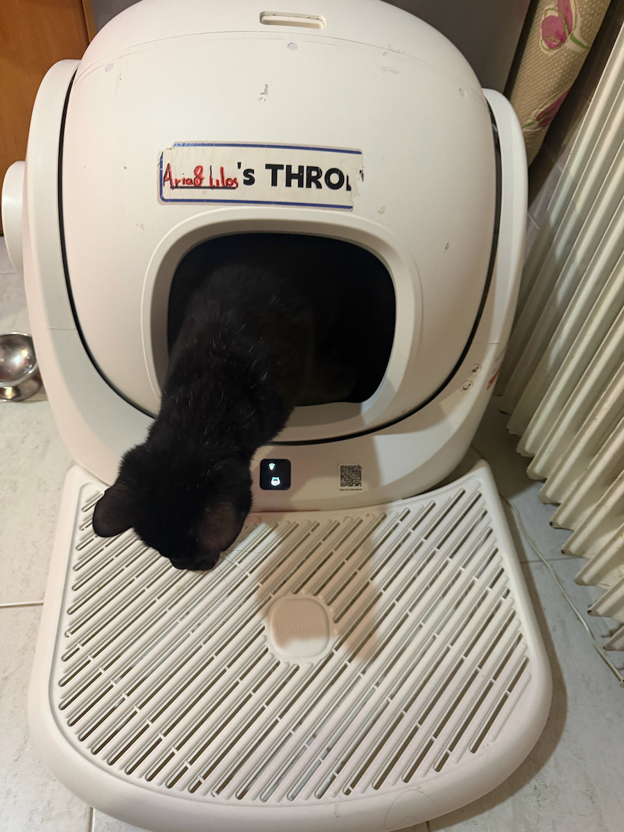 Step for Litter Box