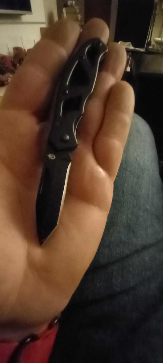 Gerber Mini Paraframe Tanto Σουγιάς Μαύρος