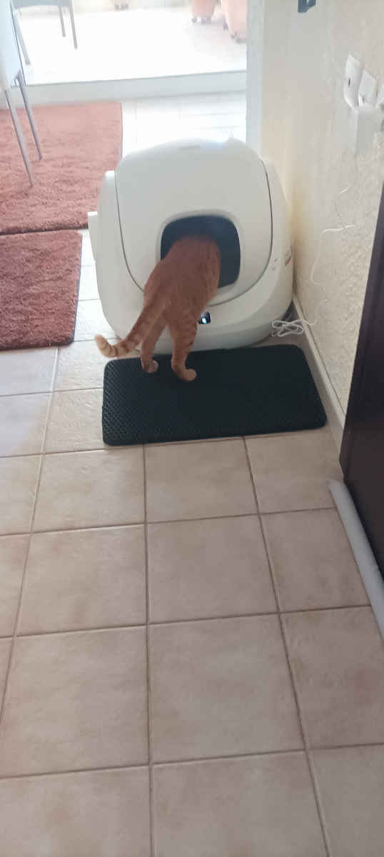 Catlink BayMax Version Katzentoilette Selbstreinigend Weiß L59.9 x B53.3 x H54.5cm