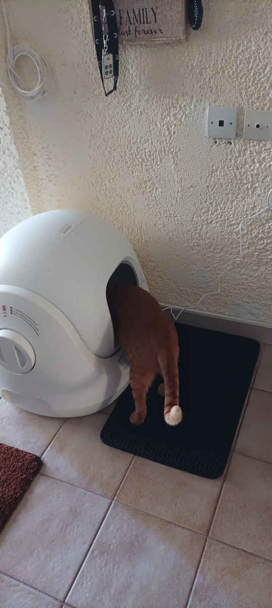 Catlink BayMax Version Katzentoilette Selbstreinigend Weiß L59.9 x B53.3 x H54.5cm