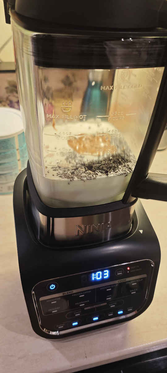 Ninja Foodi Blender & Soup Maker Blender with Glass Jug 1.7 lt 1000W Black