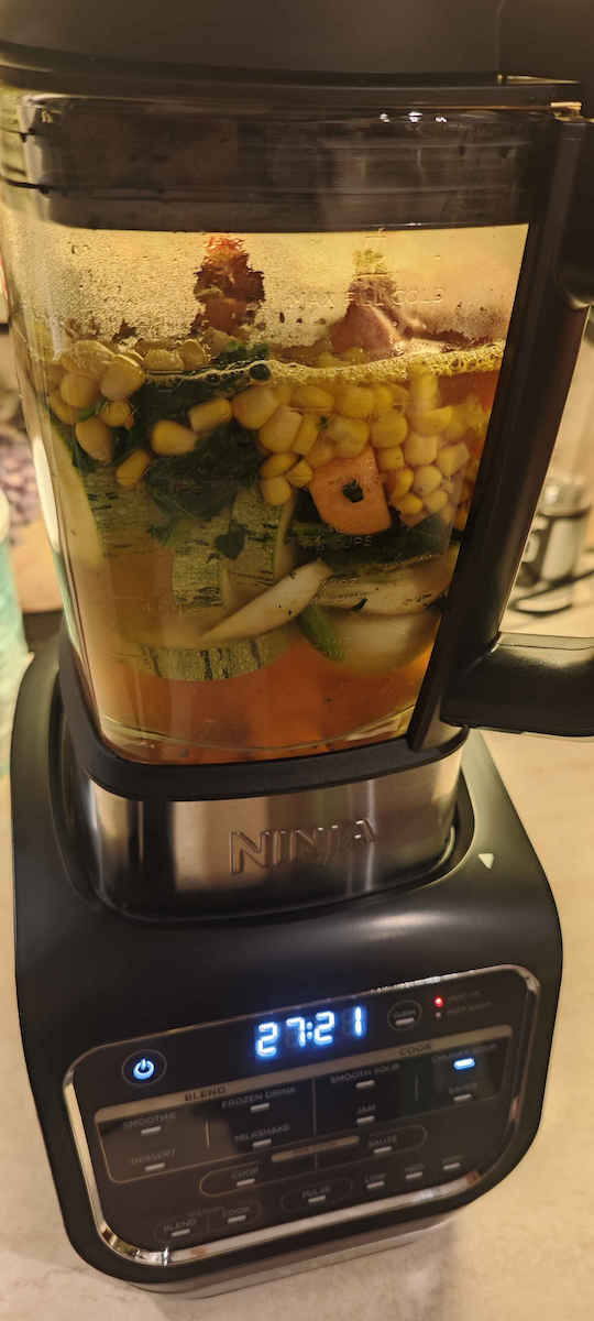 Ninja Foodi Blender & Soup Maker Blender with Glass Jug 1.7 lt 1000W Black