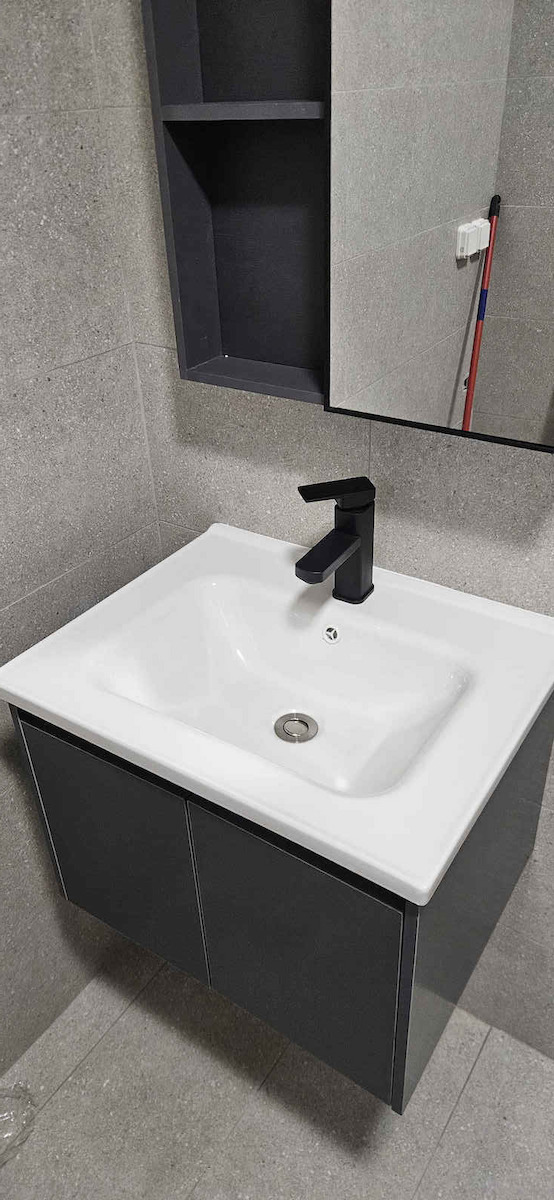 Woodwell IDEA-1 Countertop with Sink & Mirror L60xW45xH47cm Gray