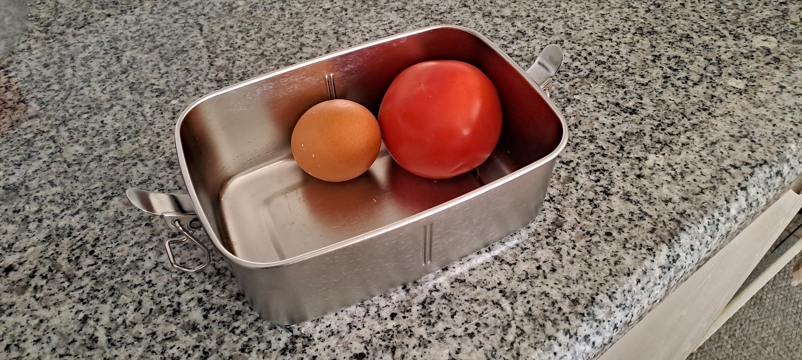 Ecolife Δοχείο Φαγητού Inox Ασημί 1lt