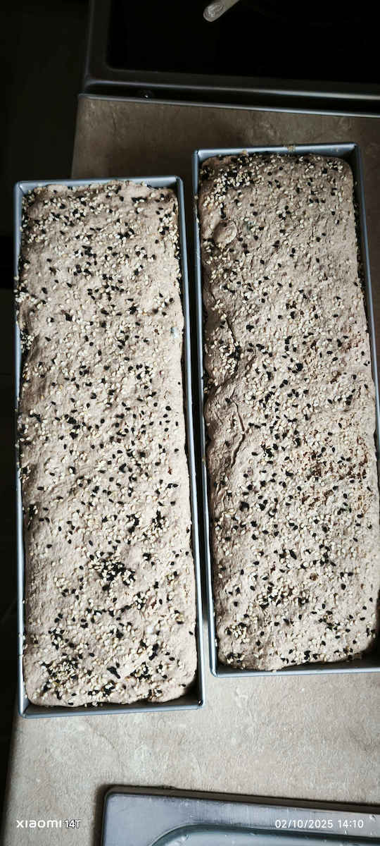 HealthTrade Organic Product Flour Rye Wholegrain 1kg