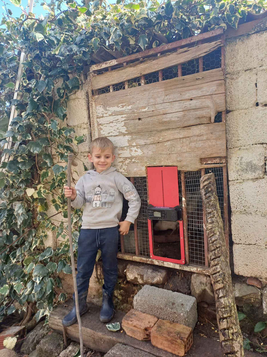 Automatic Chicken Coop Door with Solar Panel 24x36cm