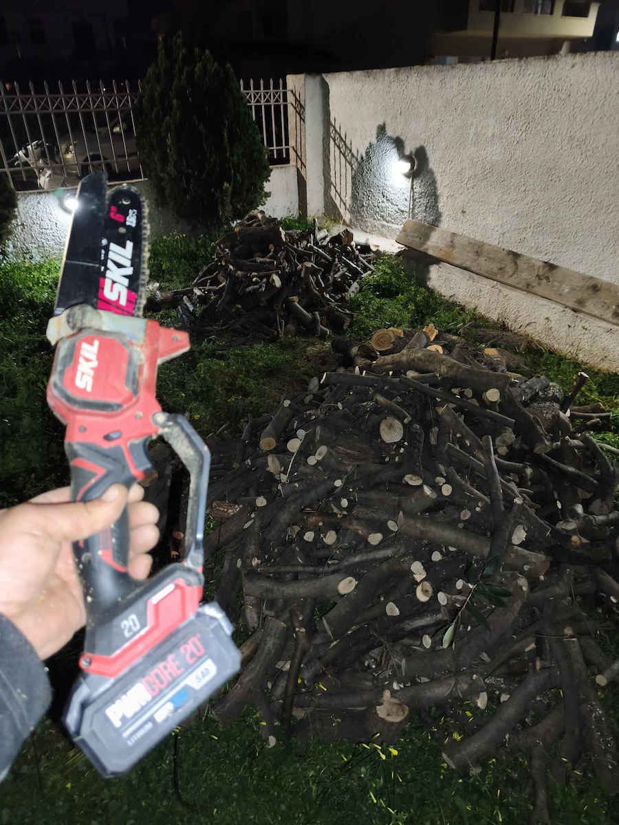 Skil Κλαδευτικό Αλυσοπρίονο Μπαταρίας 1x2.5Ah Brushless 20V 1.2kg με Λάμα 15cm