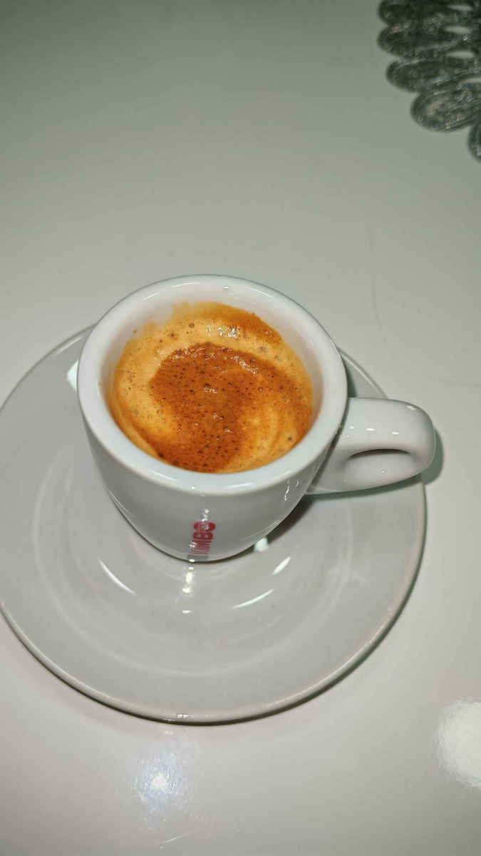 Gaggia Evolution Μηχανή Espresso 1900W Πίεσης 15bar Μαύρη