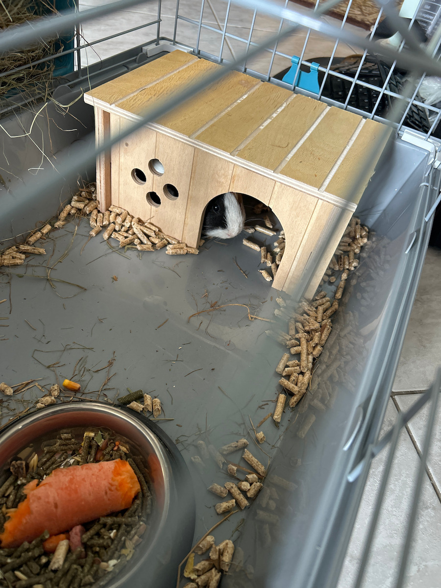 Ferplast House for Guinea pig / Rabbit Sin Wooden 26x17.3x13cm. 84645099