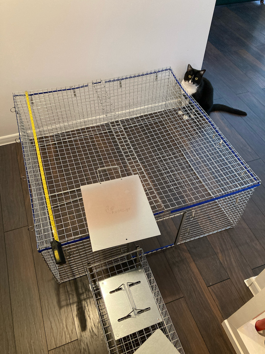 Foldable Cat Trap For Mass Trapping